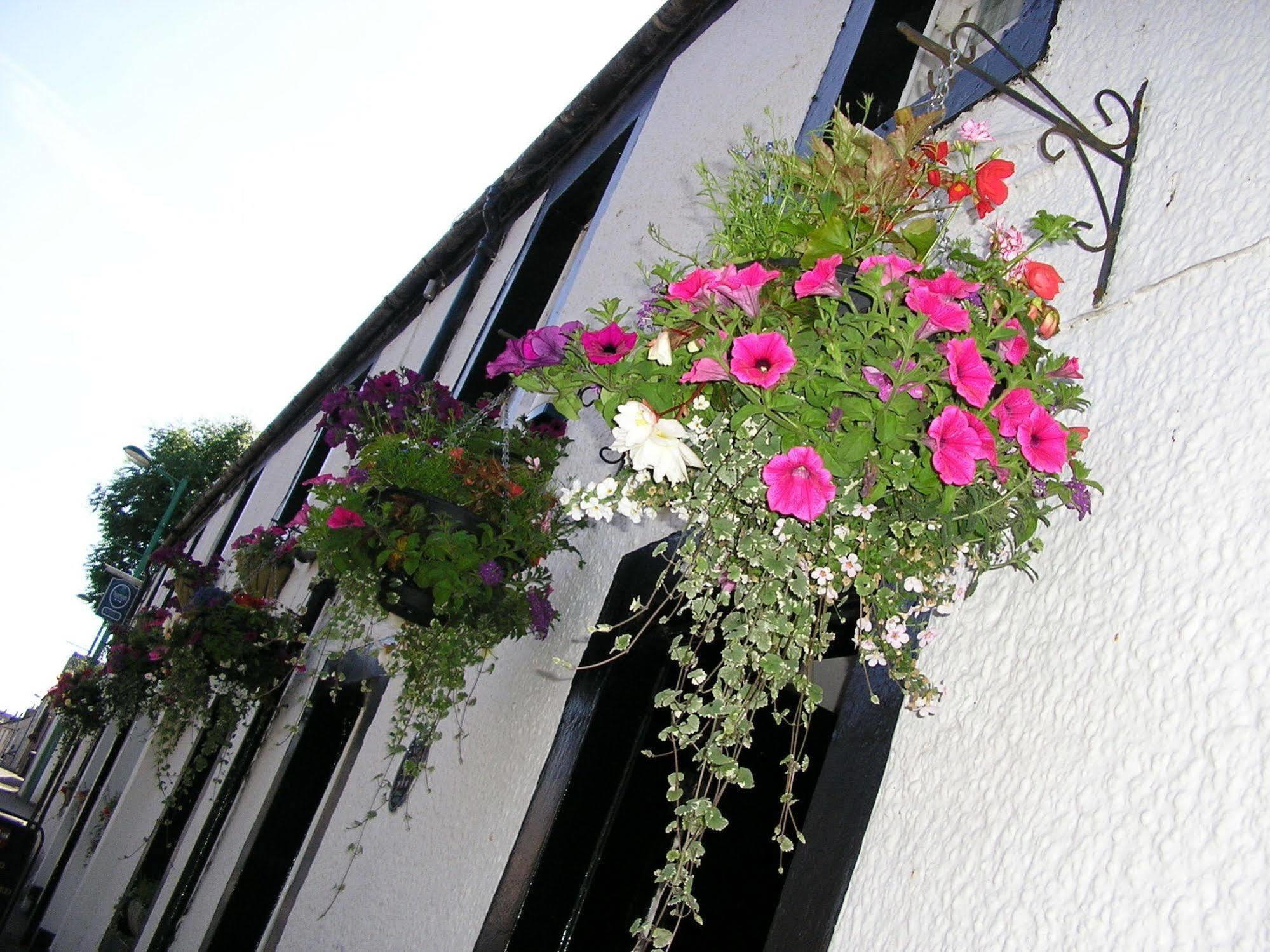 The Robertson Arms Hotel Carnwath Exterior foto